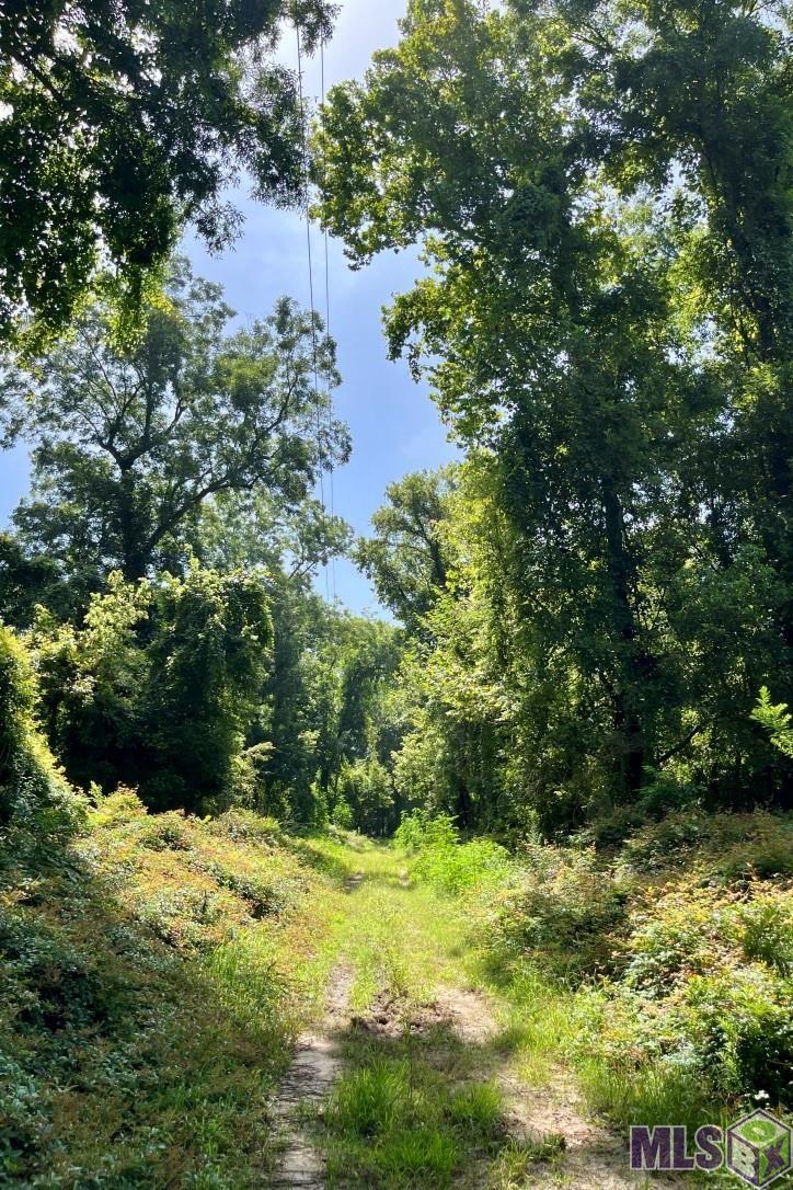 26 Cat Island Road St. Francisville, LA 70775 - Photo 6 of 29