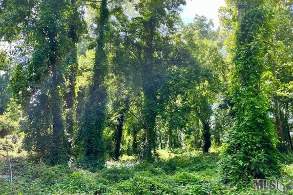 $833,805 | 26 Cat Island Road, St. Francisville, LA 70775