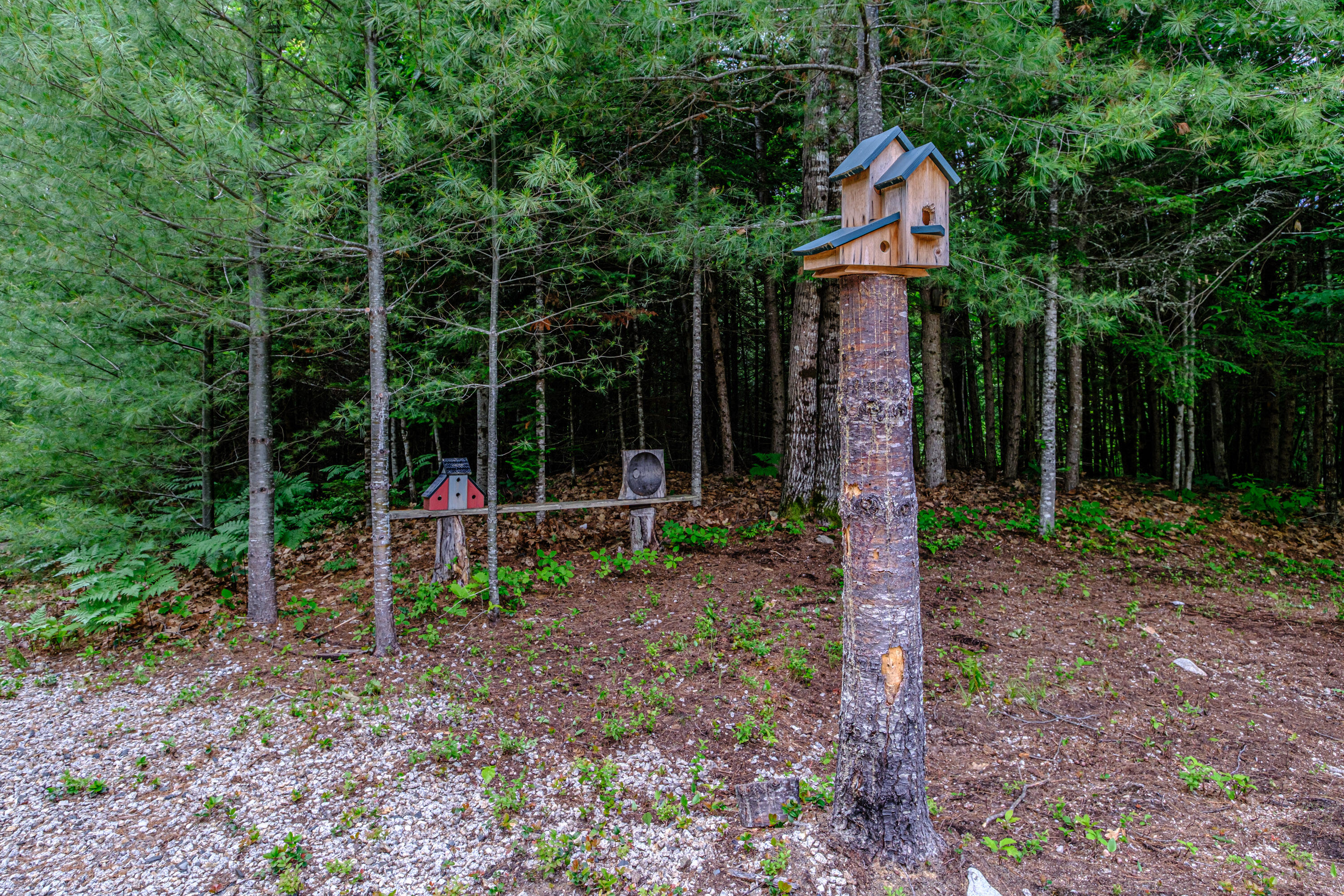 27 Merrifield Circle Sebago, ME 04029 - Photo 46 of 50 20260619gp-64052