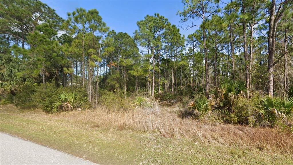 26450 Scham Road Punta Gorda, FL 33955 - Photo 1 of 1 Gallery Image 1