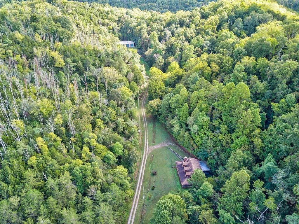 655 Lane Hollow Road Sevierville, TN 37876 - Photo 51 of 69 Gallery Image 51