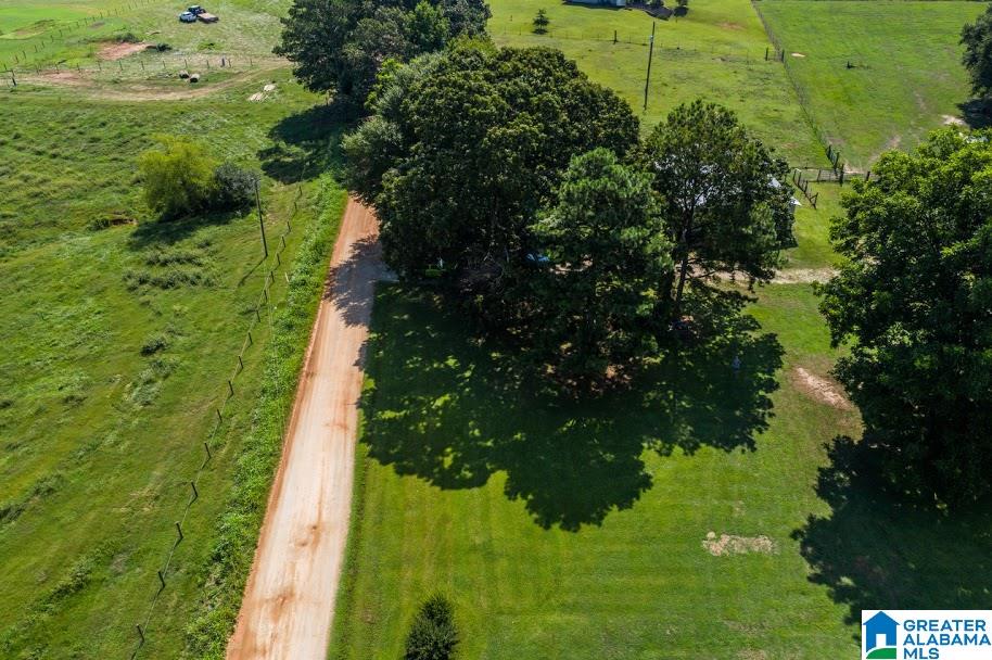 1256 County Road 643 Ranburne, AL 36273 - Photo 33 of 50
