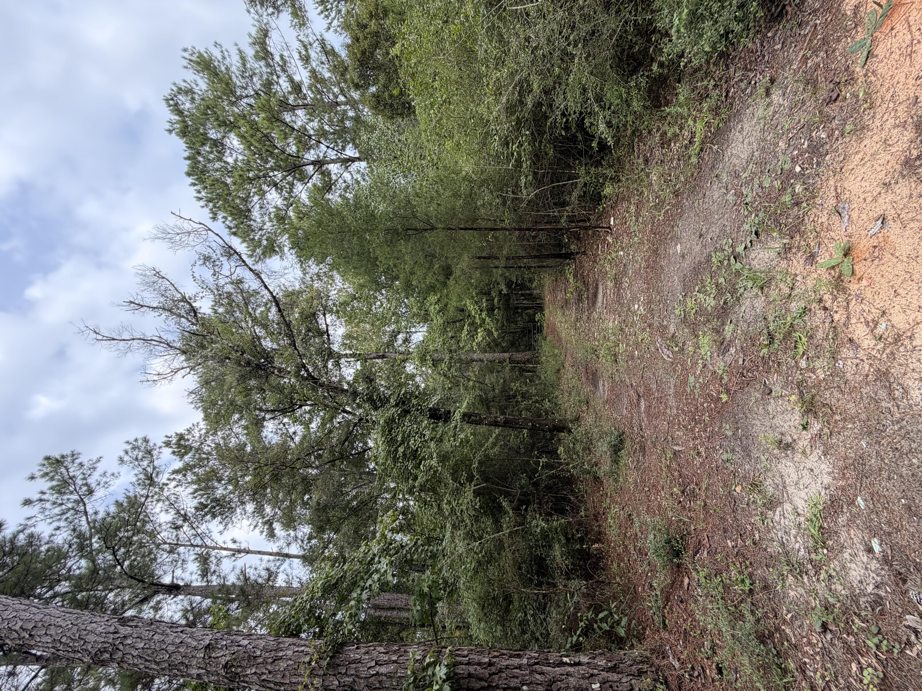5266 Choctaw Road Vernon, FL 32462 - Photo 19 of 31 IMG_2625