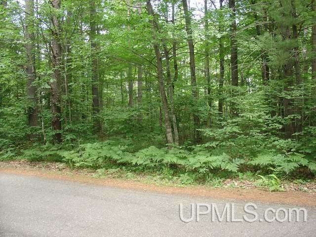 Off South Moon Lake Road Watersmeet, MI 49969 - Photo 9 of 10 Gallery Image 9