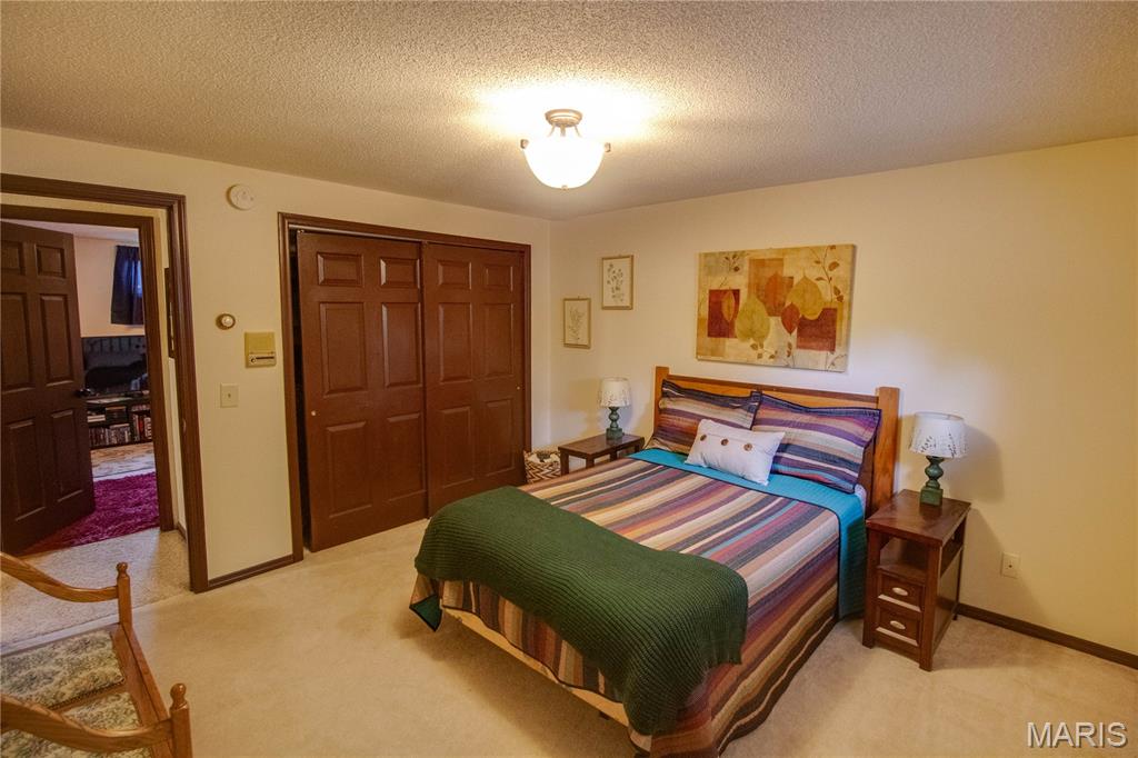 26195 Airport Road Dow, IL 62022 - Photo 57 of 89