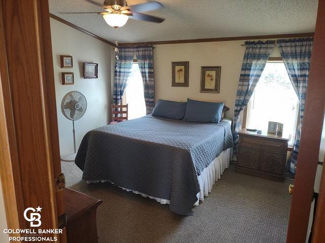 12014 Speaker Road Yale, MI 48097 - Photo 13 of 38 Masterbedroom