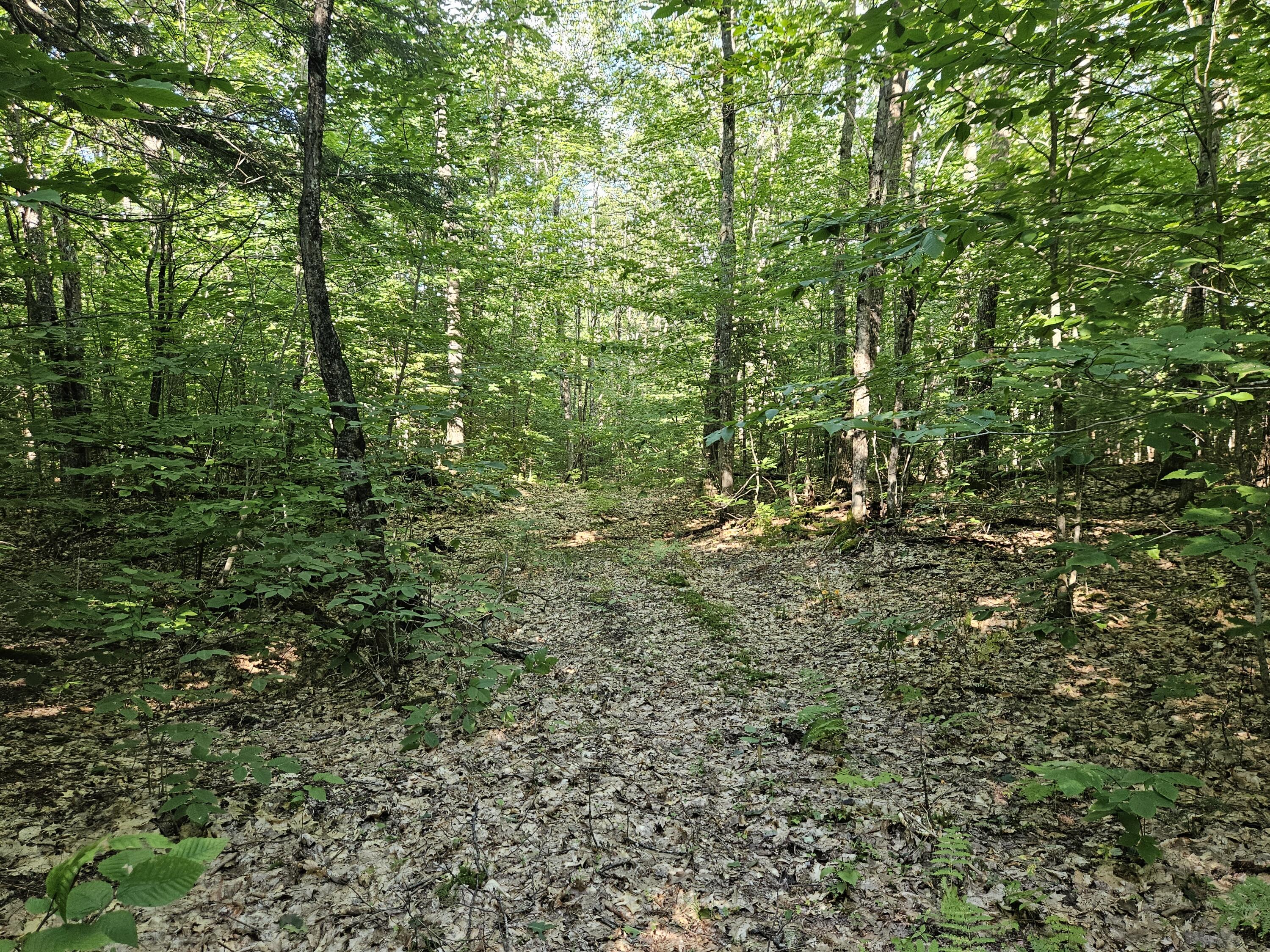 10 Pond Road Abbot, ME 04406 - Photo 17 of 27 20240807_164918