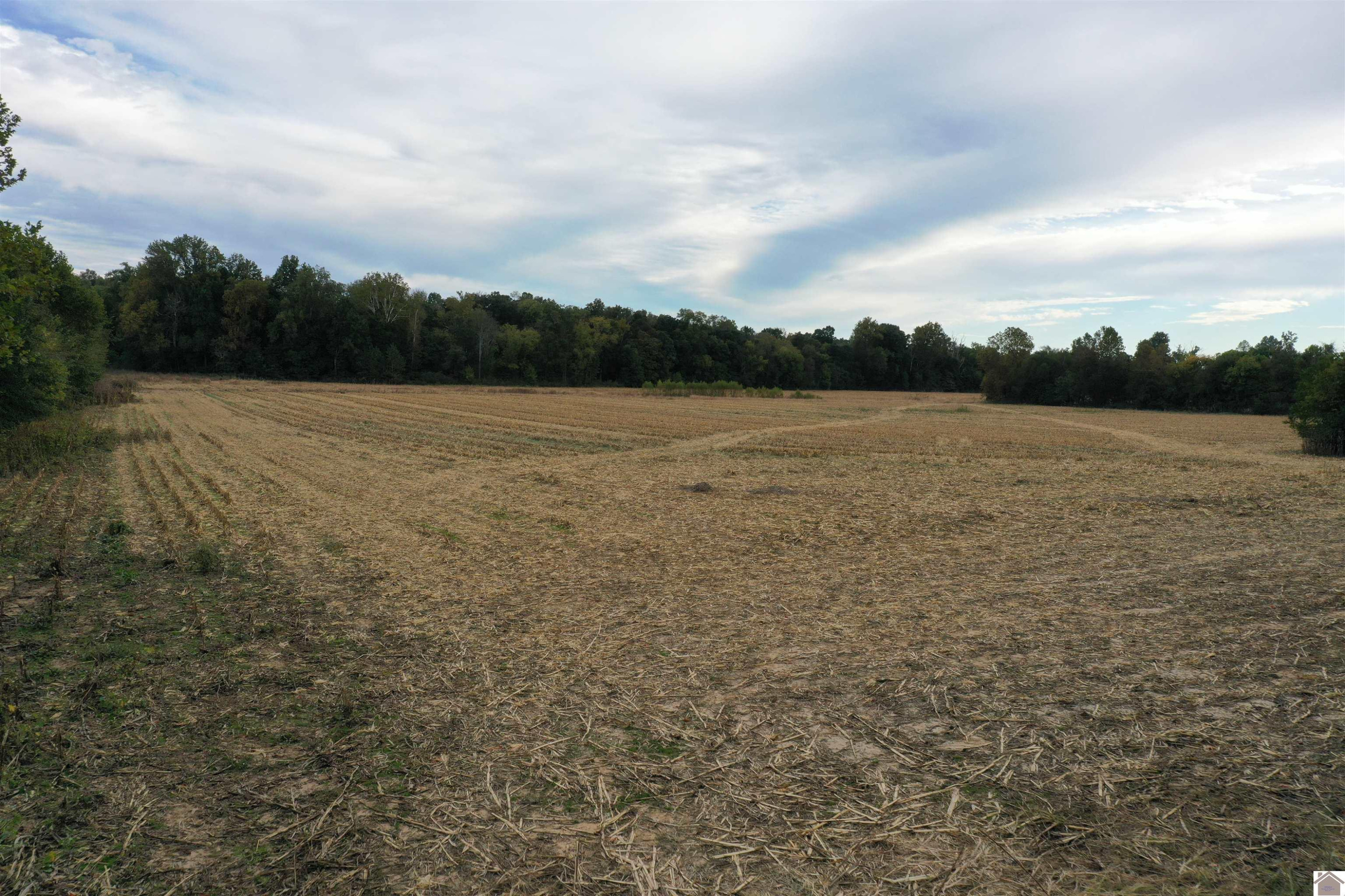 0 Barnett Road Farmington, KY 42040 - Photo 10 of 10 Photo 10