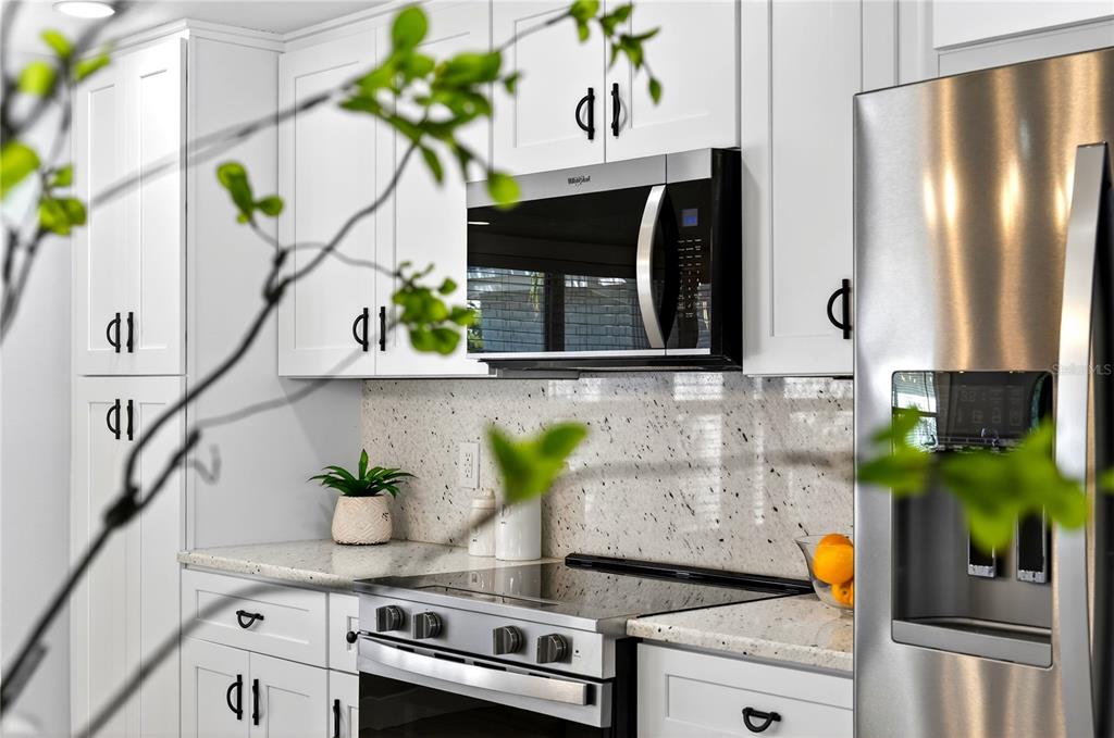 6410 3rd Palm Point St. Pete Beach, FL 33706 - Photo 60 of 71 a close view of sink and a potted plant