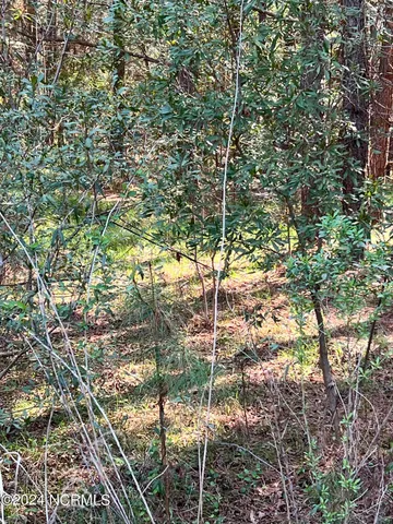 $75,000 | Lot 8 Treasure Cay Drive, Belhaven, NC 27810