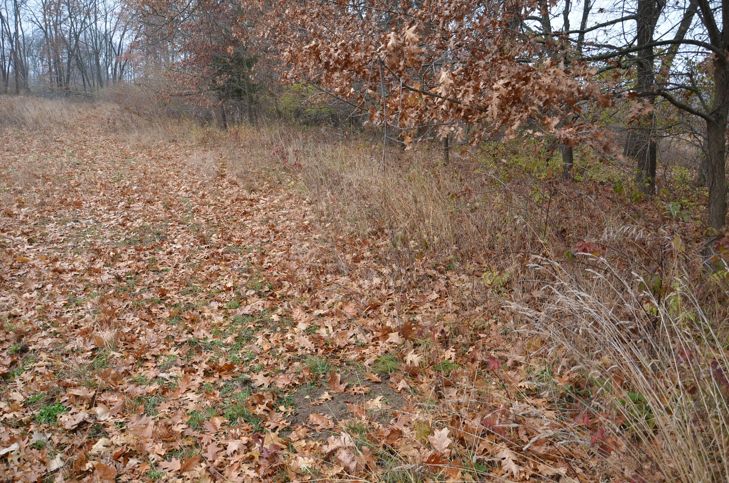 3366 Ludlow Road Albion, MI 49224 - Photo 42 of 50 DSC_5486