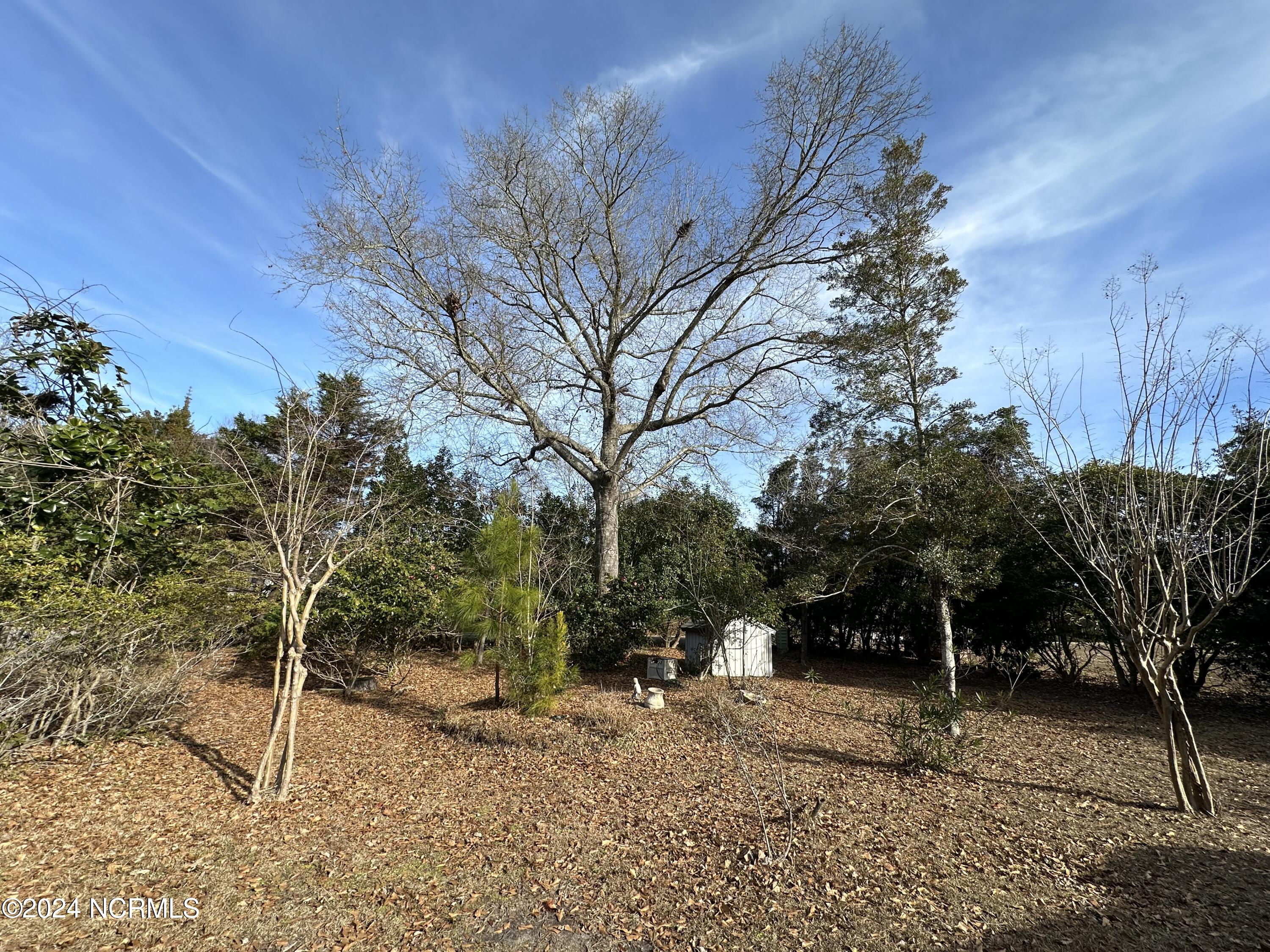 601 Cordgrass Road Hampstead, NC 28443 - Photo 28 of 28 IMG_9666