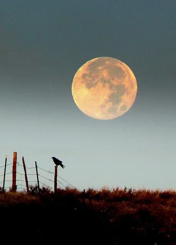 $2,500,000 | 1520 Hwy 31 Hyattville Wy, Hyattville, WY 82428