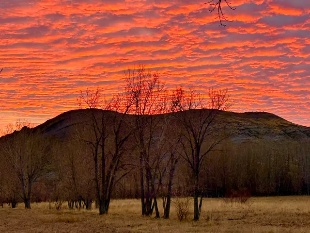 $2,500,000 | 1520 Hwy 31 Hyattville Wy, Hyattville, WY 82428