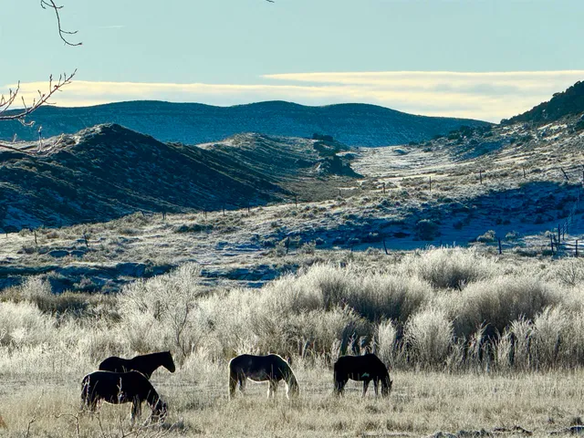 $2,500,000 | 1520 Hwy 31 Hyattville Wy, Hyattville, WY 82428