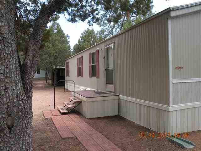 2151 Blue Jay Road Overgaard, AZ 85933 - Photo 2 of 23 Gallery Image 2