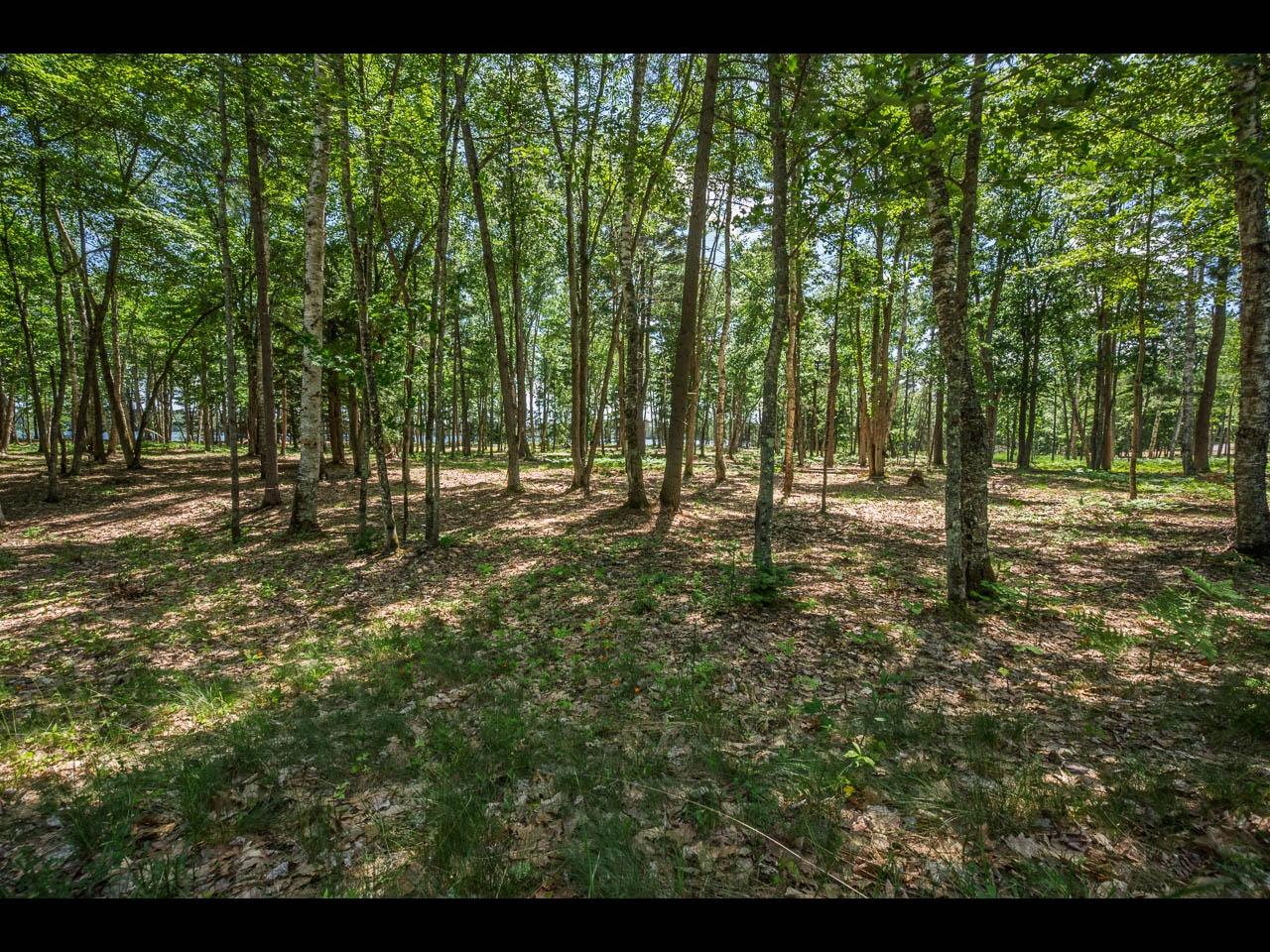 Lot 141 Kindling Point Eagle River, WI 54521 - Photo 19 of 19 Gallery Image 19