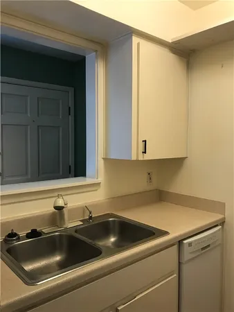 a kitchen with a sink and cabinets