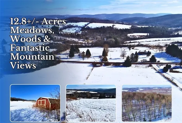 $128,000 | Lot 41-42 Hamden Hill Road, Hamden, NY 13782