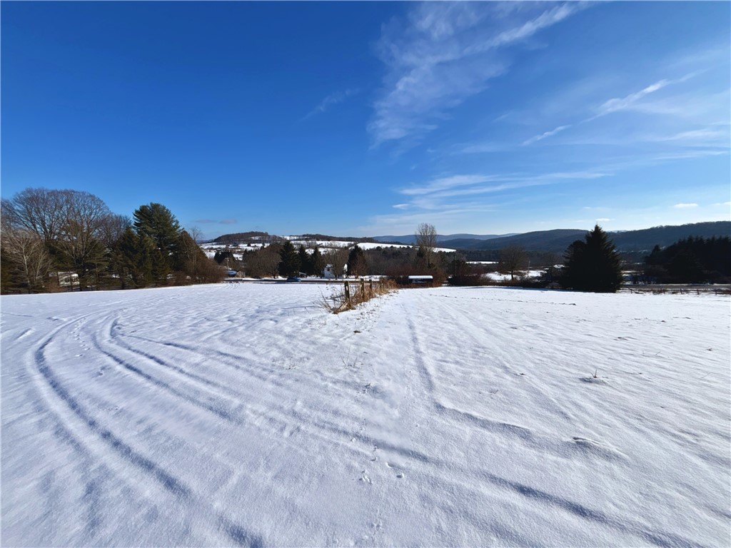 Lot 41-42 Hamden Hill Road Hamden, NY 13782 - Photo 13 of 26