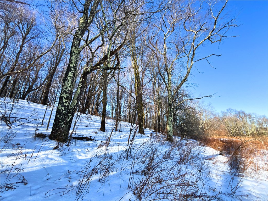 Lot 41-42 Hamden Hill Road Hamden, NY 13782 - Photo 17 of 26