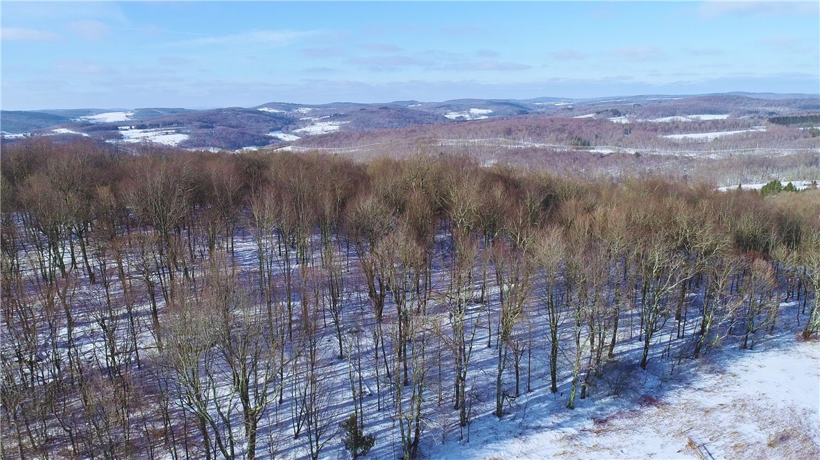 Lot 41-42 Hamden Hill Road Hamden, NY 13782 - Photo 20 of 26