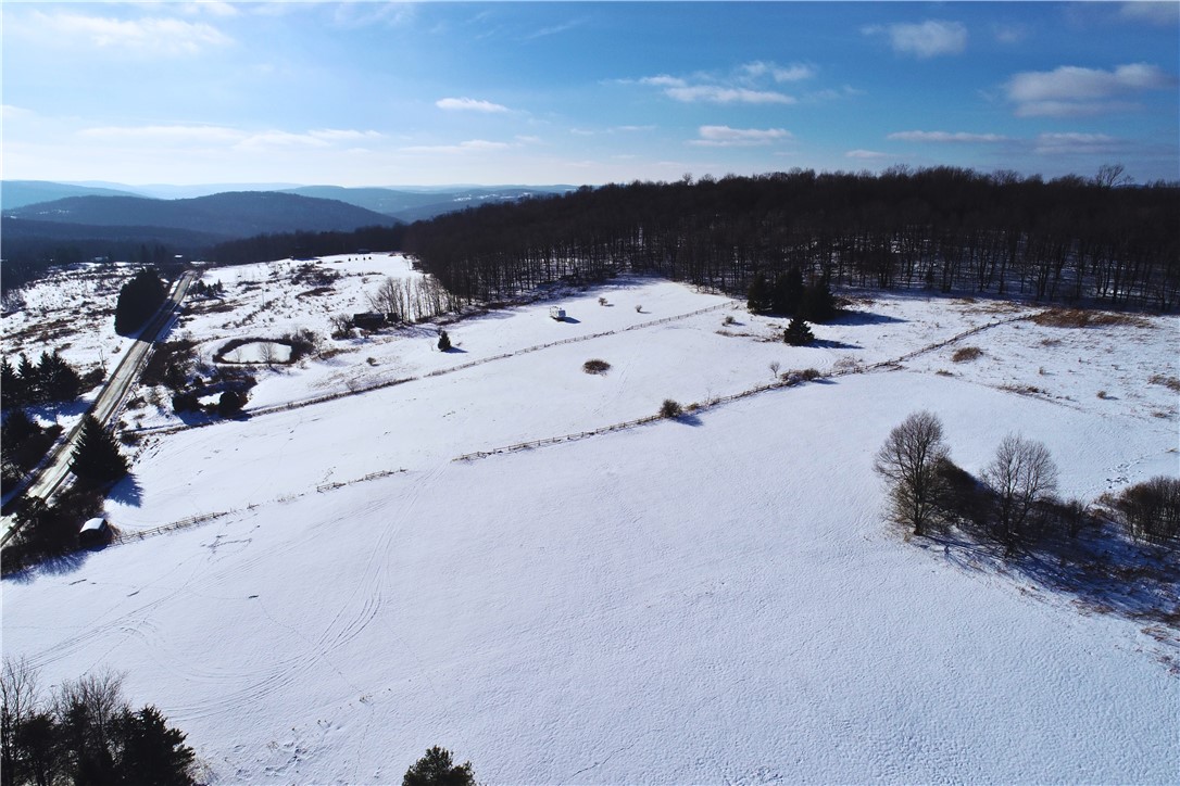 Lot 41-42 Hamden Hill Road Hamden, NY 13782 - Photo 23 of 26