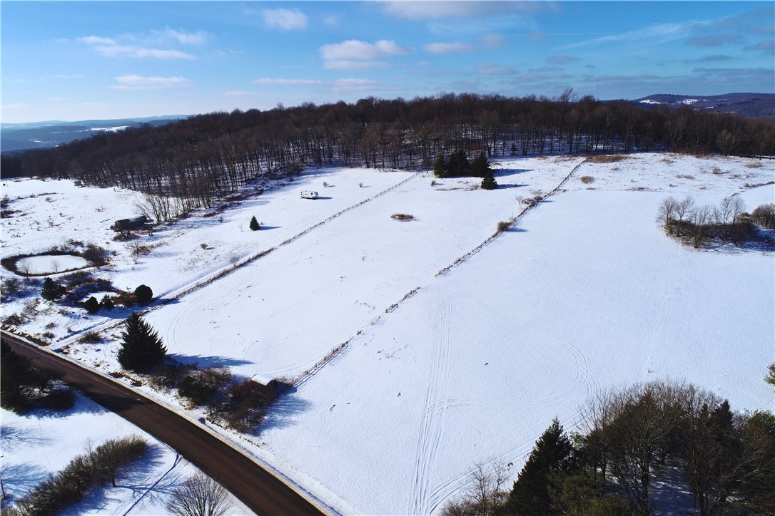 Lot 41-42 Hamden Hill Road Hamden, NY 13782 - Photo 4 of 26