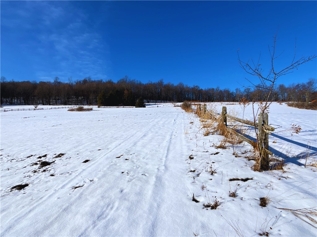 Lot 41-42 Hamden Hill Road Hamden, NY 13782 - Photo 9 of 26