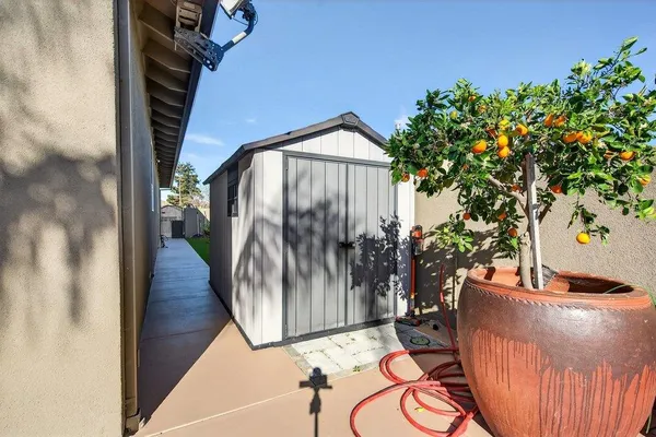 a view of balcony with wooden floor and potted plant