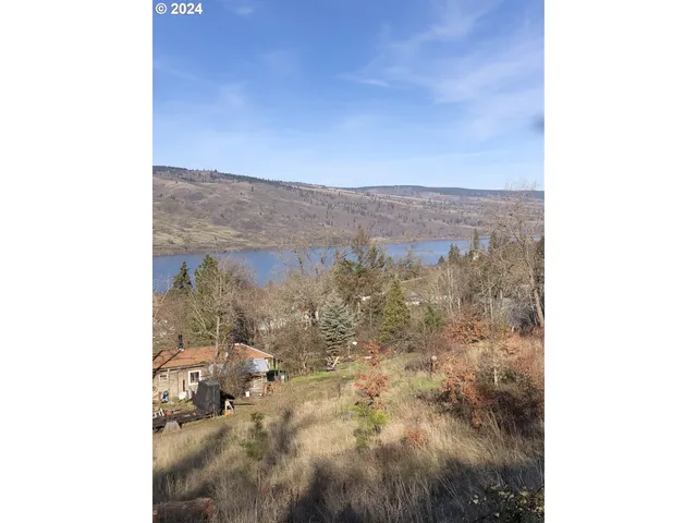 a view of a yard with a tree