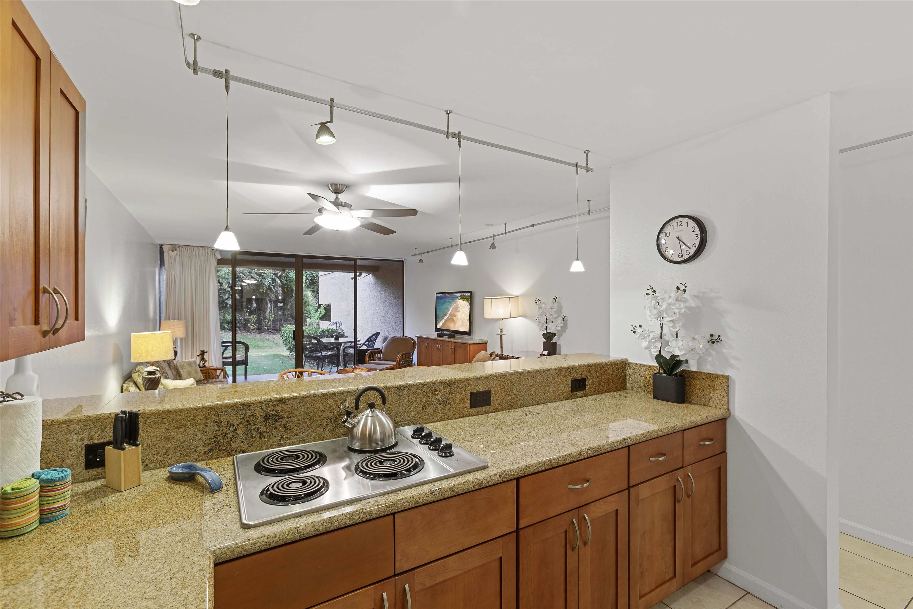 4242 Lower Honoapiilani Road, Unit E 210 Lahaina, HI 96761 - Photo 33 of 40