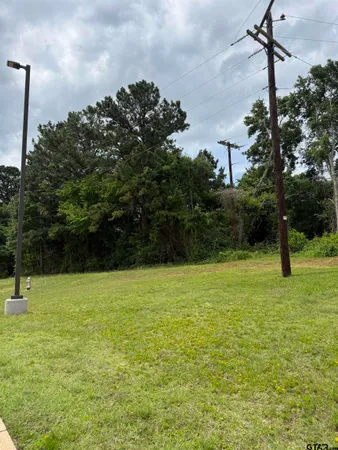 a view of a field with a tree in the background