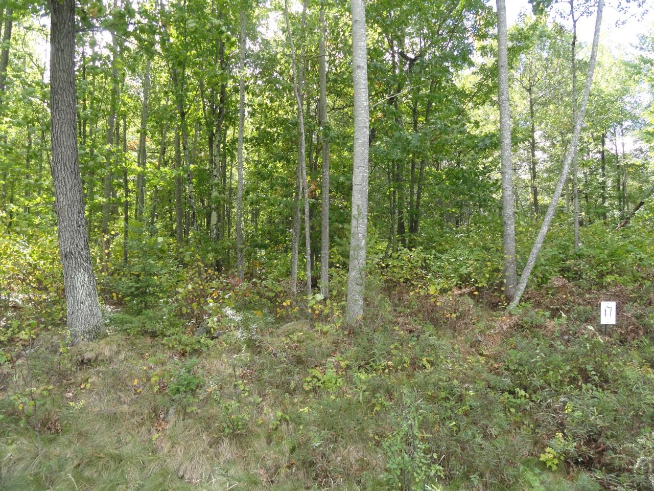 Lot 17 Pfeifer Road Tomahawk, WI 54487 - Photo 7 of 19 Gallery Image 7