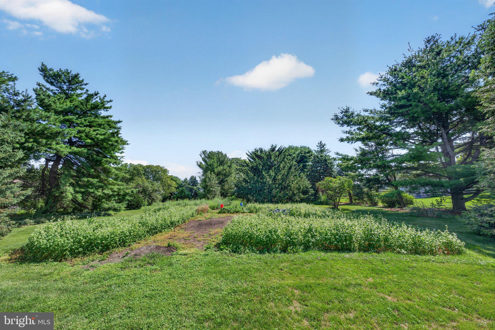 1277 South Colebrook Road Manheim, PA 17545 - Photo 49 of 65 Lush garden oasis under blue skies.