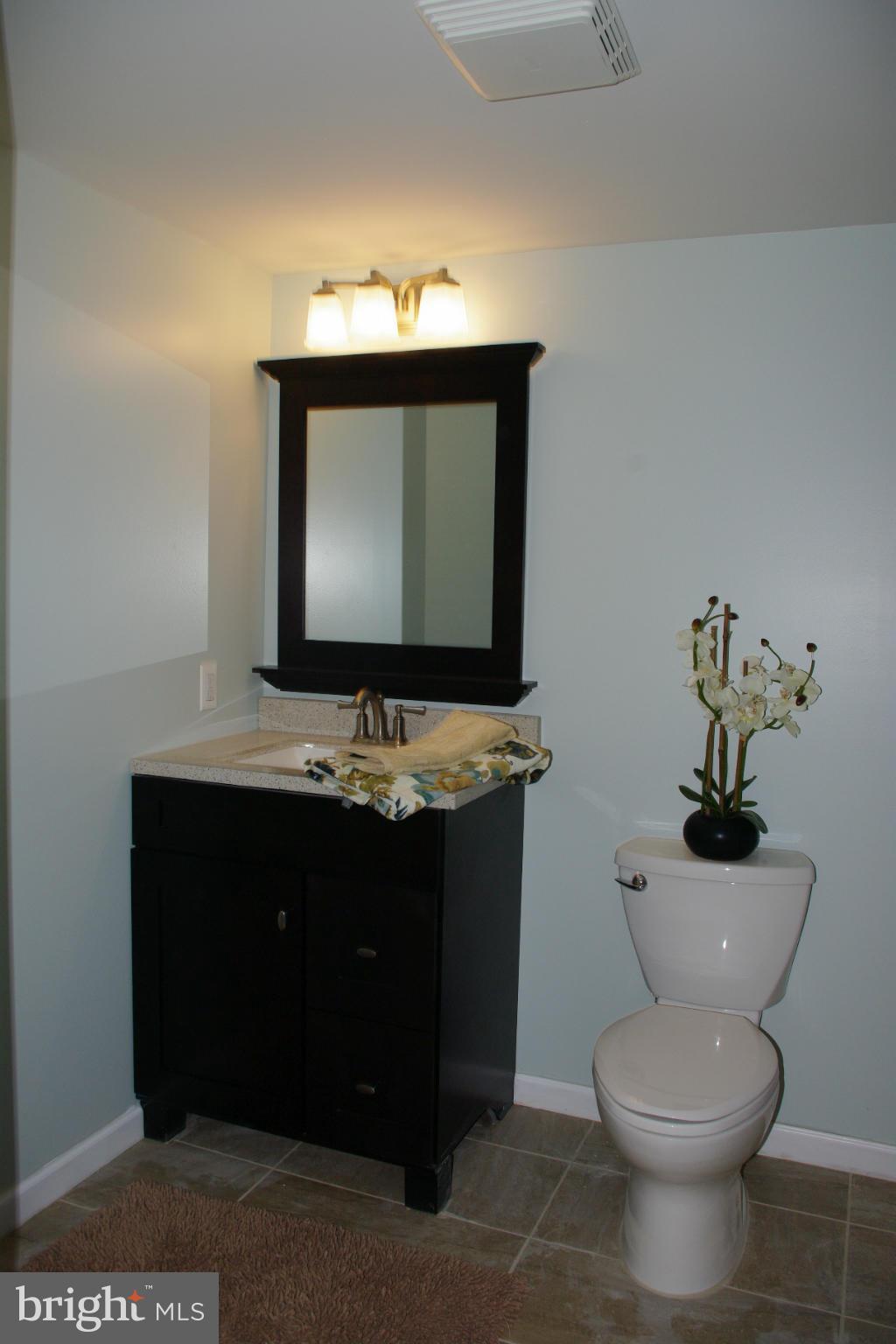 8115 Hillendale Road Baltimore, MD 21234 - Photo 9 of 11 Bath (Master)
