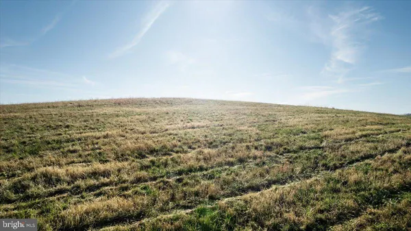 an aerial view of forest