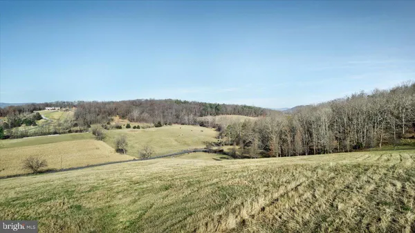 a view of a field with an ocean