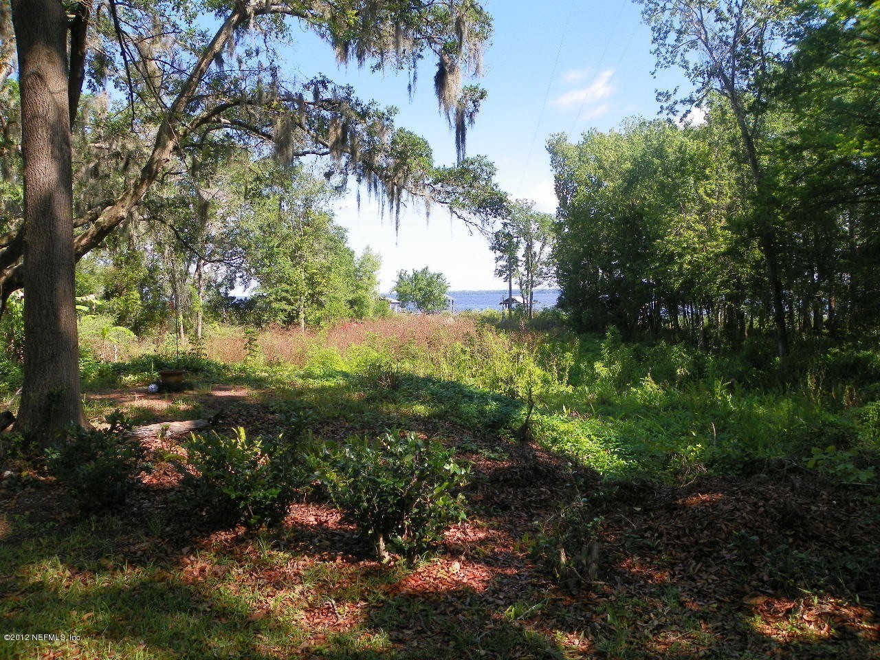 3969 Thomas Road Green Cove Springs, FL 32043 - Photo 16 of 32 Riverview From Back of House