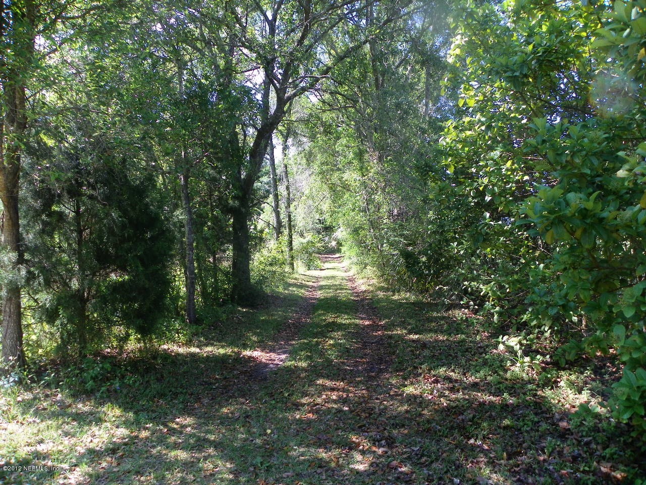3969 Thomas Road Green Cove Springs, FL 32043 - Photo 17 of 32 Lane Leading to Lower Level and Dock