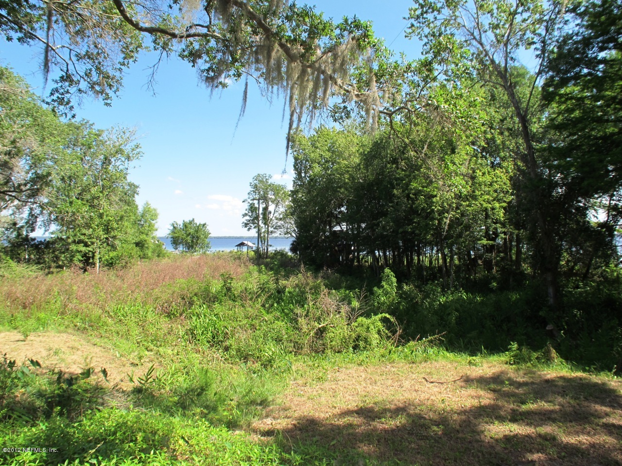 3969 Thomas Road Green Cove Springs, FL 32043 - Photo 25 of 32 Rear Yard