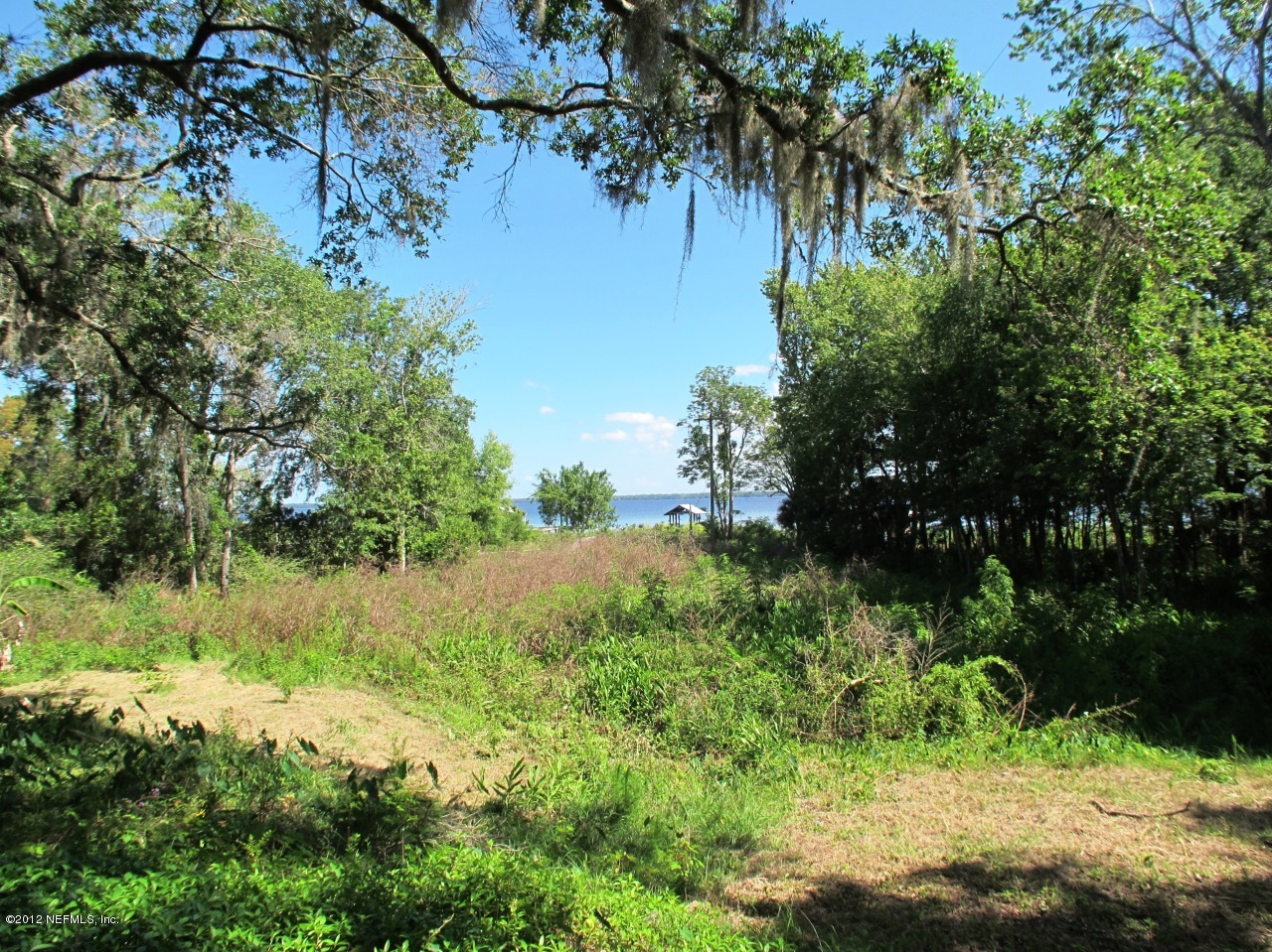 3969 Thomas Road Green Cove Springs, FL 32043 - Photo 26 of 32 Rear Yard View 2
