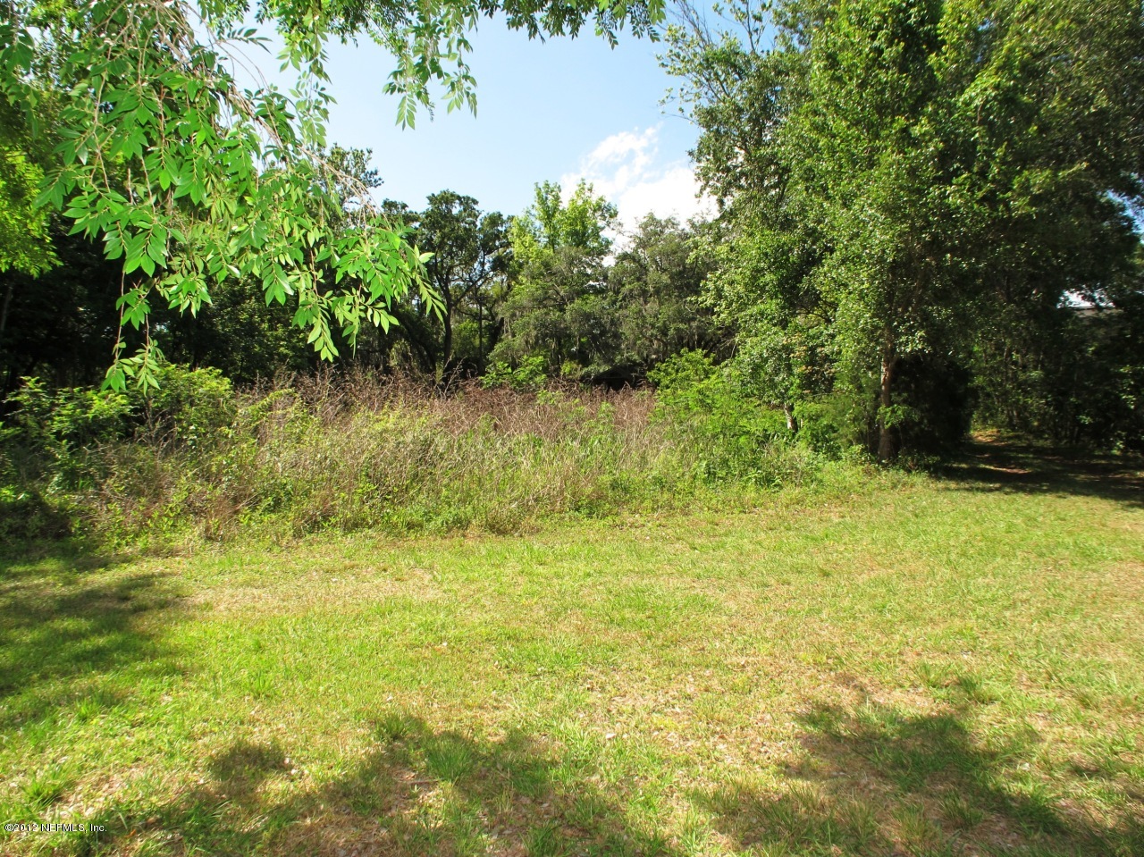 3969 Thomas Road Green Cove Springs, FL 32043 - Photo 27 of 32 Rear Yard View 3