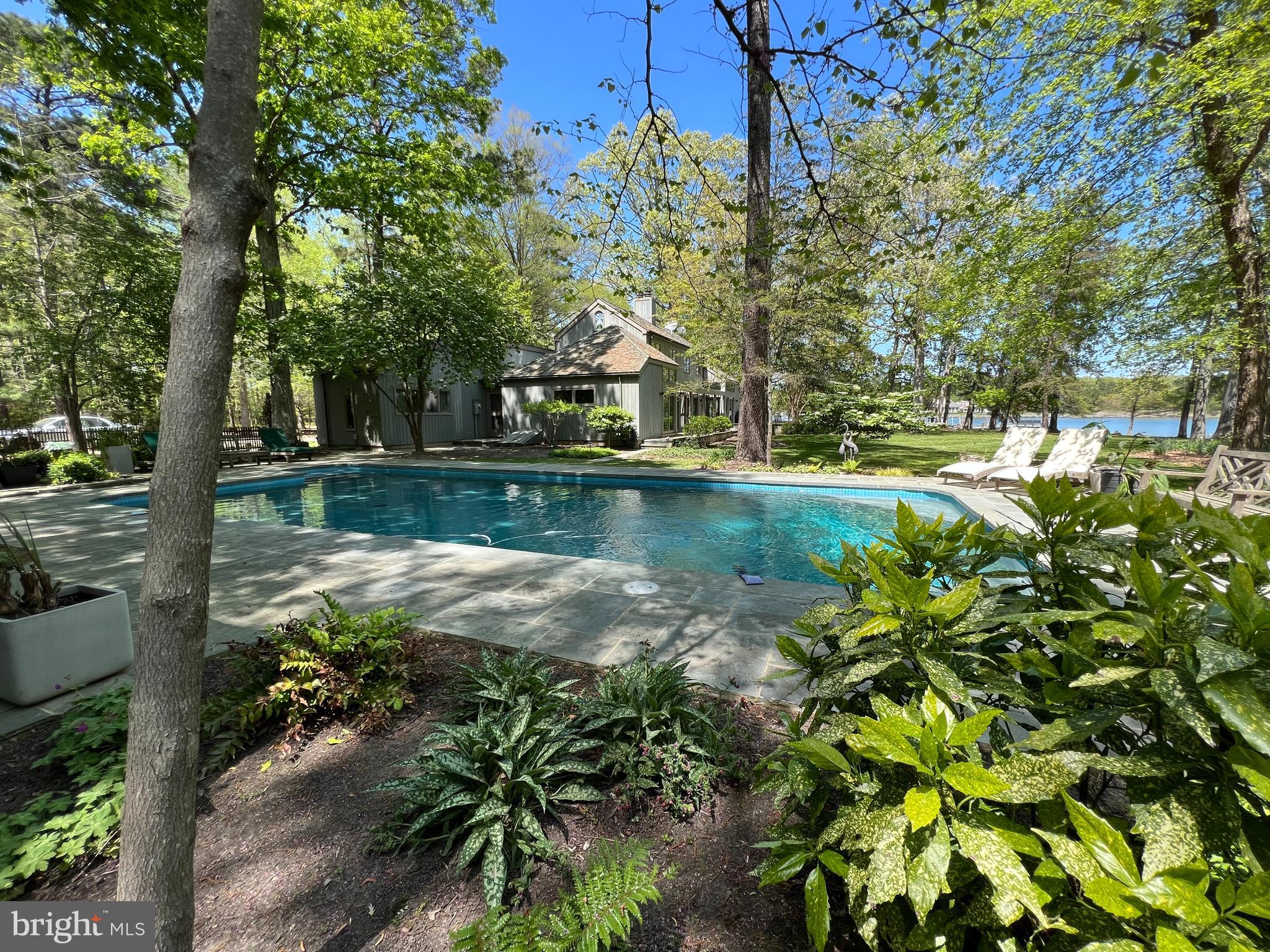 24283 Deep Neck Road Royal Oak, MD 21662 - Photo 33 of 59 Lush landscaping by the pool