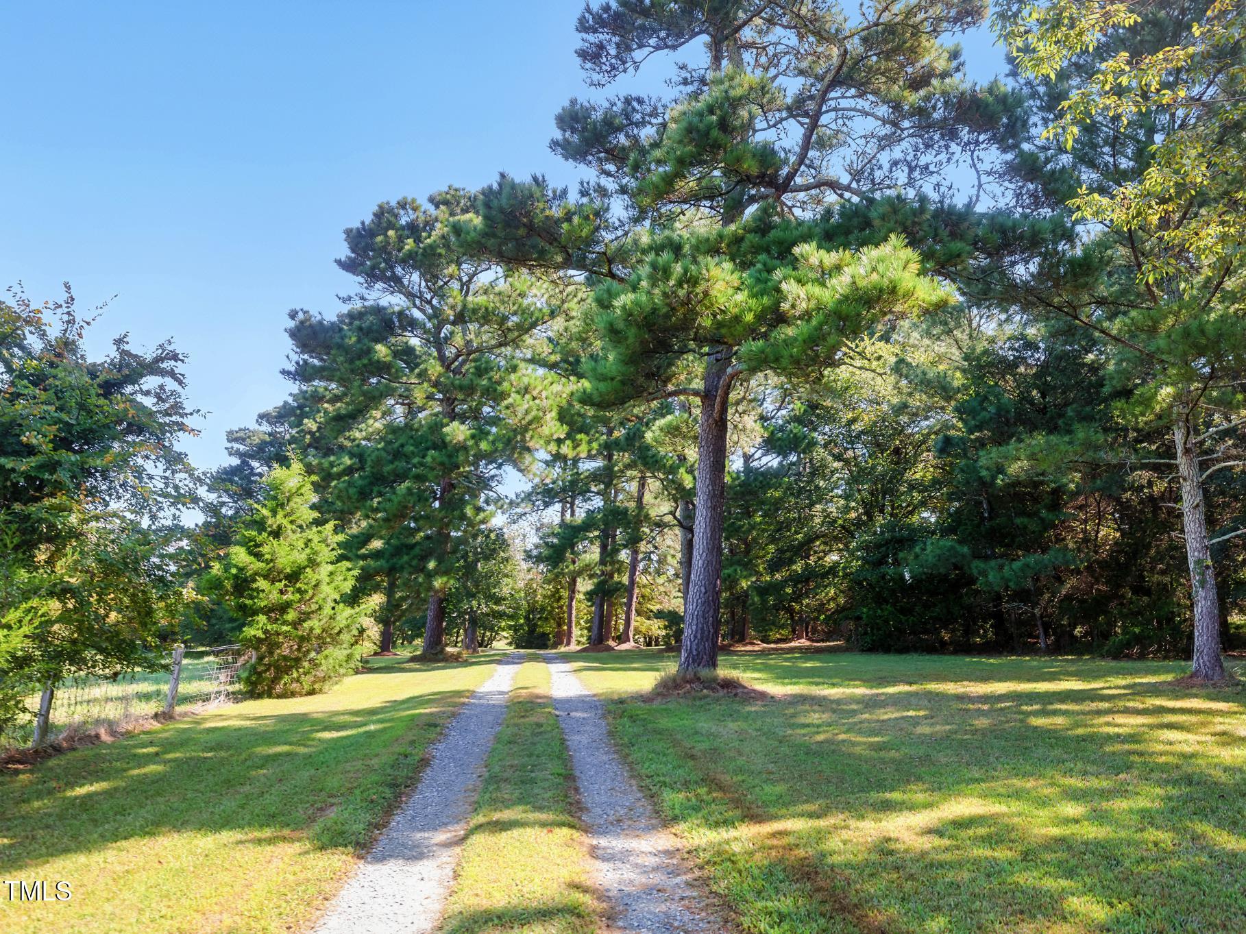 2892 Silk Hope Liberty Road Siler City, NC 27344 - Photo 52 of 74 a view of a park with large trees