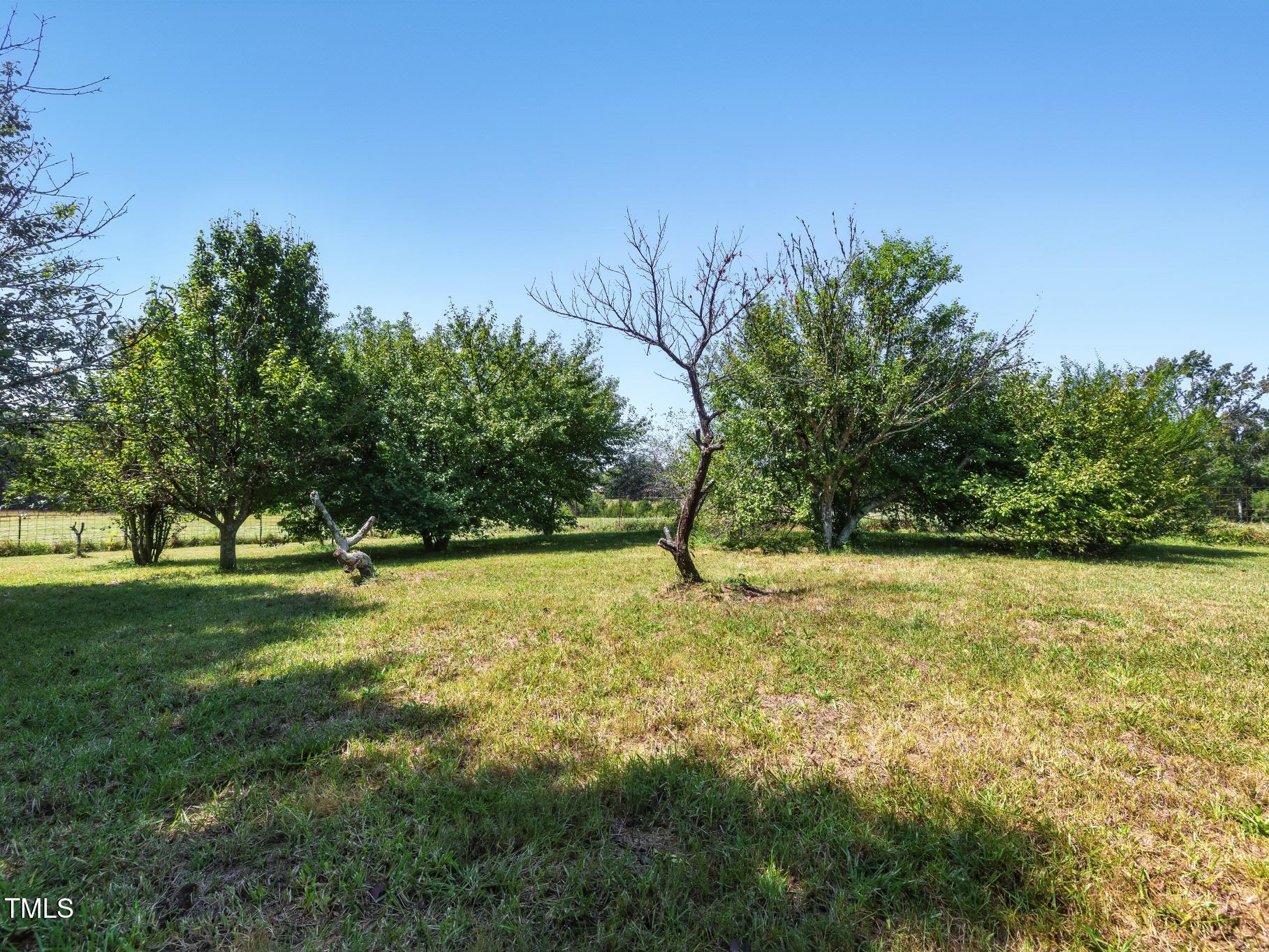 2892 Silk Hope Liberty Road Siler City, NC 27344 - Photo 70 of 74 a view of a big yard with large trees
