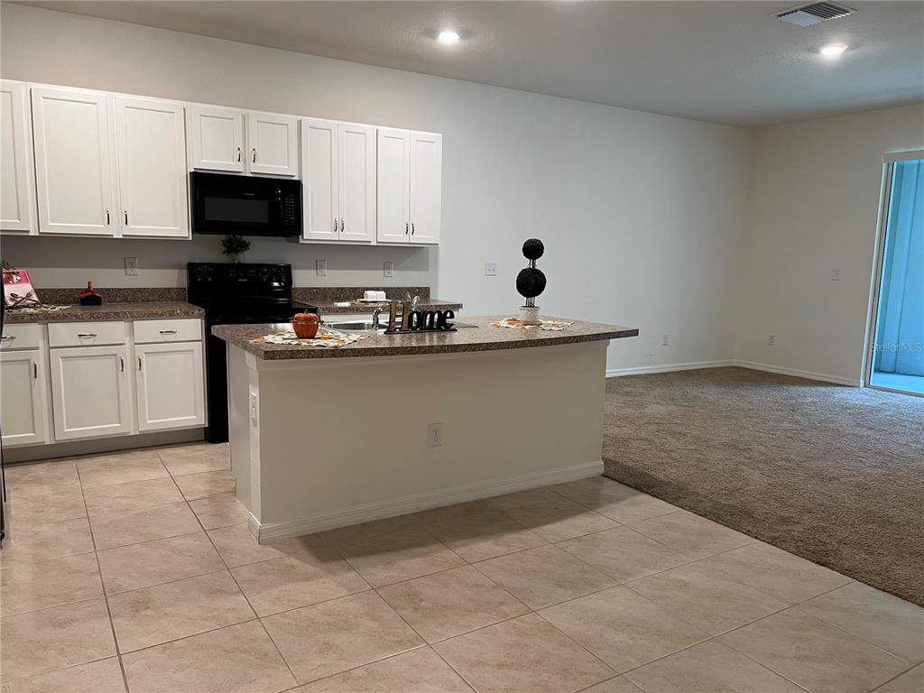 3816 Vignoble Lane Brandon, FL 33511 - Photo 8 of 21 a kitchen with stainless steel appliances a sink a stove top oven a counter space and cabinets