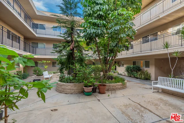 a view of a patio with plants and a potted plants
