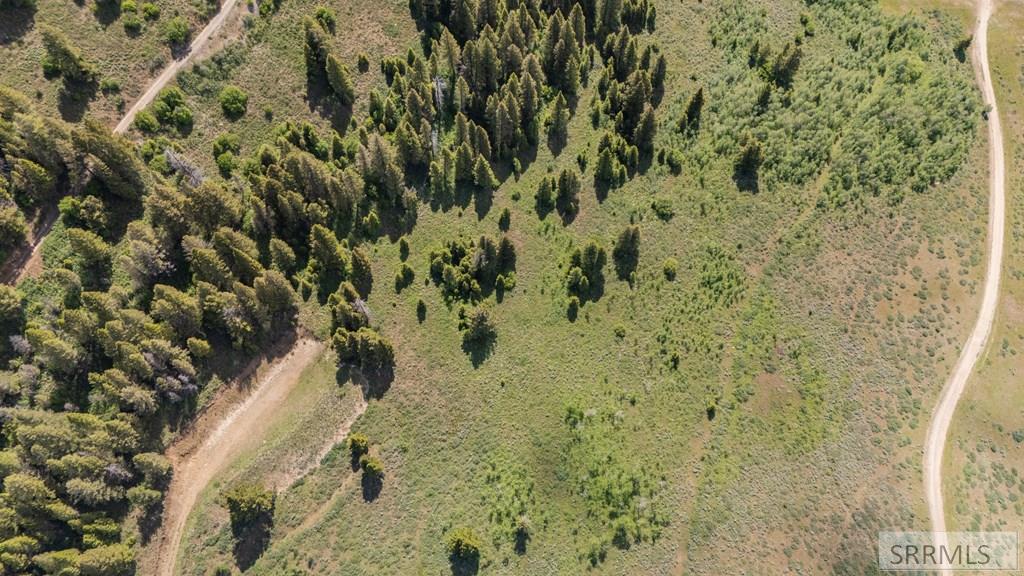5128 West Rees Drive Island Park, ID 83429 - Photo 7 of 15
