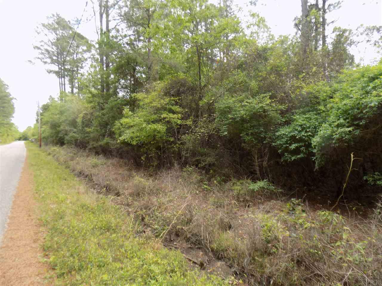 3.86 Ward Basin Road Milton, FL 32583 - Photo 7 of 11 Gallery Image 7